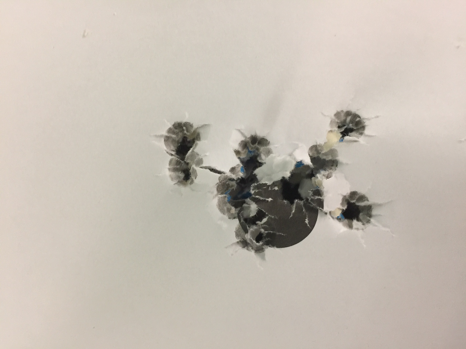 Name:  IMG_3011.JPG
Views: 3051
Size:  373.1 KB