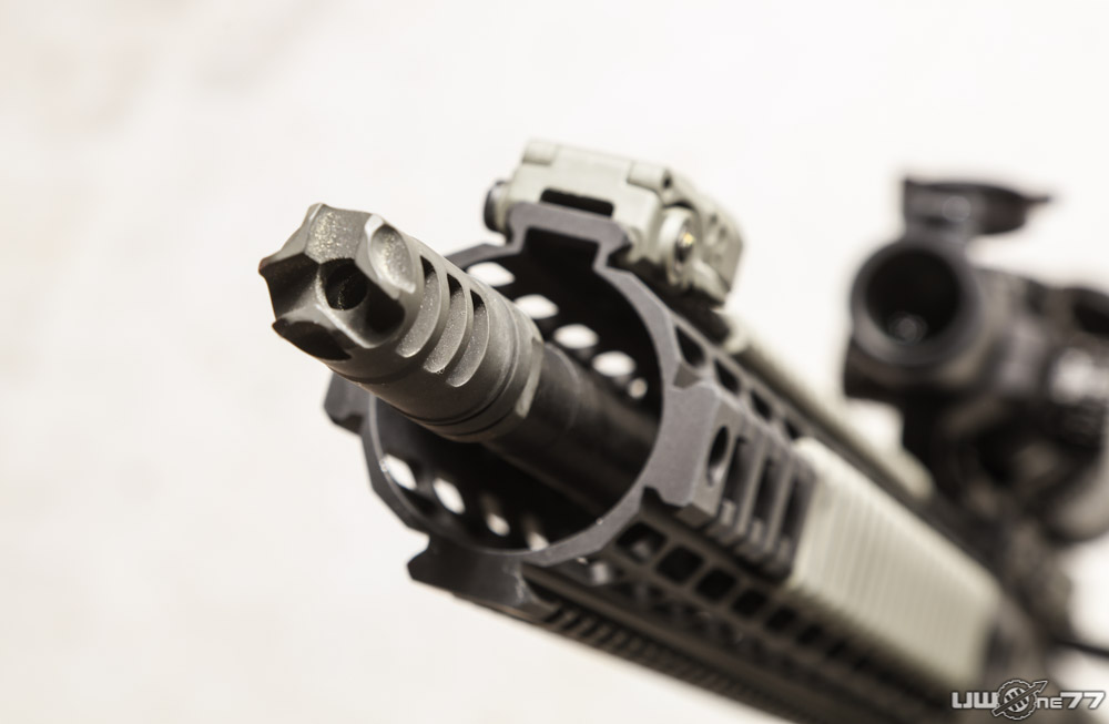 Name:  5S3A7834.jpg
Views: 649
Size:  89.1 KB