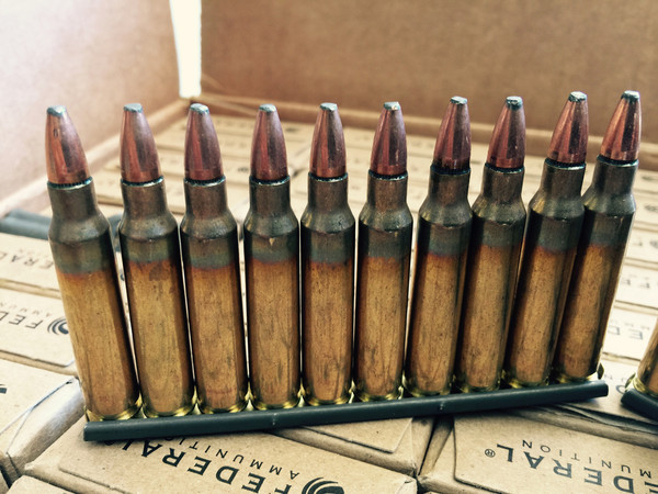 Name:  556_62GR_XM556SBCT3-3_grande.jpg
Views: 3106
Size:  99.4 KB