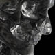 chromerhino's Avatar