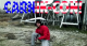 patriot_man's Avatar