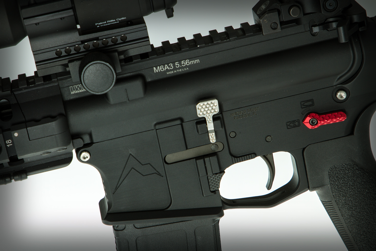 IMG 2793 Rainier with ABC R