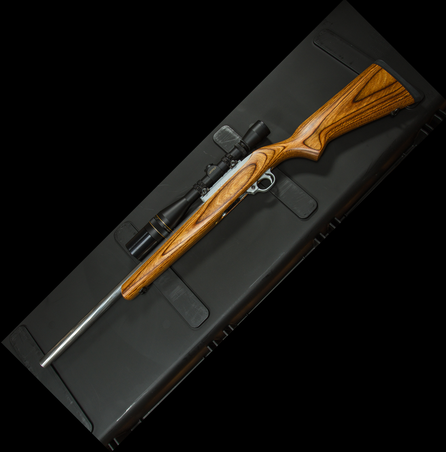 IMG 3356 Ruger 10 22