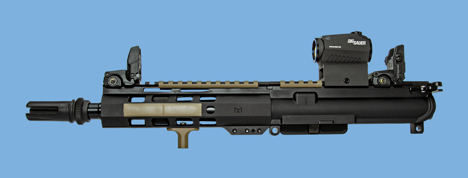 IMG 3901 PSA 300 BO With Sights